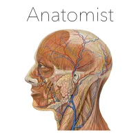 Anatomist - Juego de Anatomía